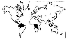 8th sst mcqs 8081919001